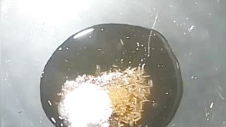 Samosa Recipe