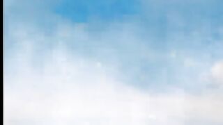 Flying Birds