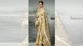 Royal दिखने के लिए देखें Rkha के सिल्क साड़ी Looks