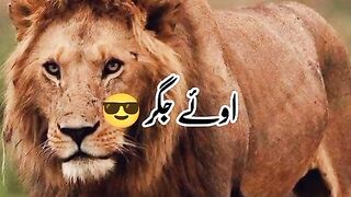 Badal jay gy Shakeel poetry