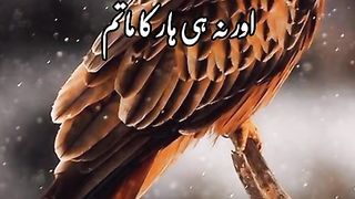 Hum NE hi Jeet ka Shakeel poetry