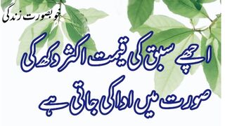 Beautiful Quotes Ever | Amazing Collection Of Urdu Quotes | Aqwal E zareen / Beautiful Quotes Ever