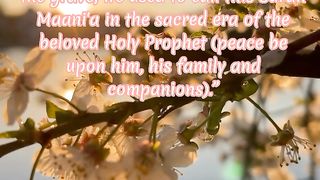 Surah Al Mulk