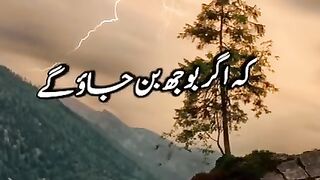 Urdu shayari ???? Shayari Status???? Deep line poetry _ Punjabi Status ????- Sad Status - WhatsApp status. Upload video