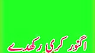 Punjabi Song Green Screen WhatsApp Status Koi Torh Nhi Rab De Ghare کوئی تھوڑا نہیں رب دے گھرے.