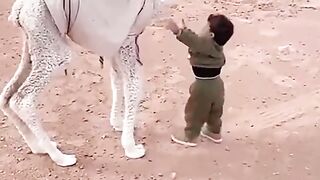 Funny vedio