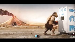 Funny monkey drink water