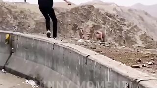 Funny