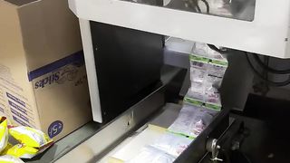 Chips making Factory