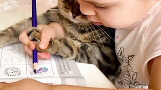 Study With Cat