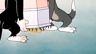 WB Tom and Jerry|| Tom and Jerry Kids Video ||Tom & Jerry || Tom & Jerry in classic cartoon#wbkids