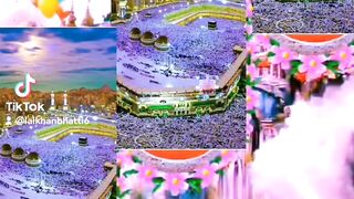 My tiktok vedio