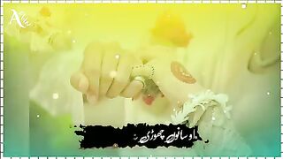 punjab saraiki song Status For WhatsAp5.
