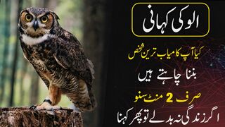 New Urdu Story of an Owl and Parrots | Urdu Nashriyat Moral Srories