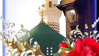 Recite 203