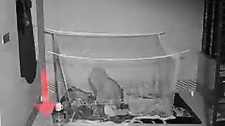 reaL ghost capture in home cctv footage