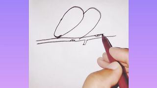 Beautiful bird drawing