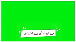 Green Screen Punjabi status! shafullah khan Rokhri.