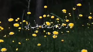 *سونا مسلمان وہ ہے ????❤‍????????????*