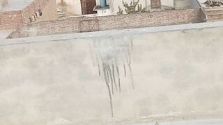 میرا سوہنا پنڈ مٹو بھائی کے
