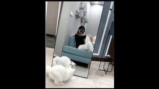 Funny Pets Compilation -