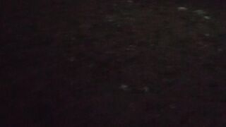 Belgian malinois angry and barking
