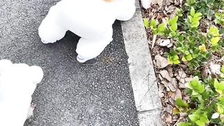 New Funny Videos 2023, Chinese Funny Video try not to laugh P08