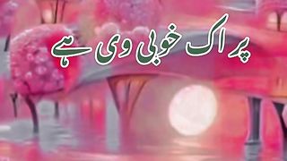 میرے وچ کمیاں