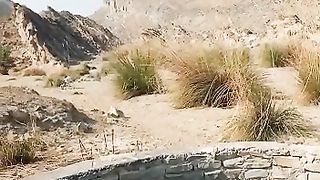 #Koh e solan k damon#please like