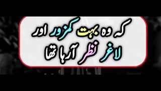 Romantic vedio