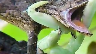 Funny moments,.ha h haa...