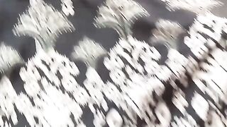 Print lawn
