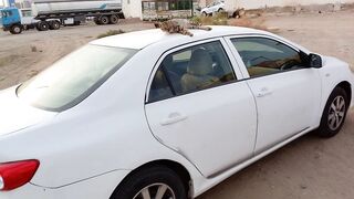 Funny cat on the car