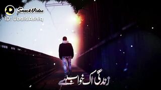 مڑ کے پیچھے دیکھئی زندگی ایک خواب ہے