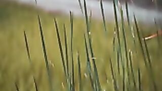 Cinematic Video No Copyright
