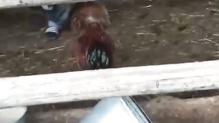 Тренировка бойца