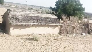 Desert