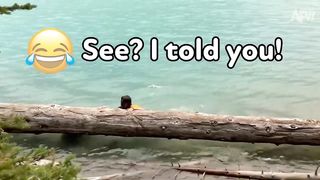 #AFVFAM #FAILS #EPICFAILS #LOL #AFV #comedy #funny #funnyvideo