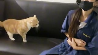 Angry cat????????????