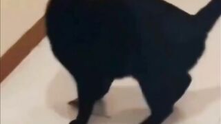 Hmmnnnn