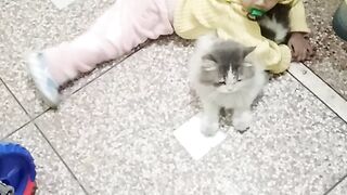 Baby fun