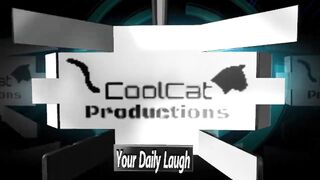 Funny Cat Videos - Cute Cats Videos - Funny Animal Videos -