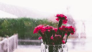 Rain Sound for relaxing | Deep and Sooth | sounds for meditation