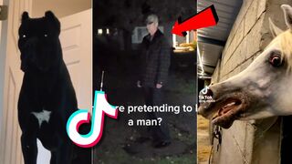 Creepy Skinwalker Tiktoks you might have MISSED | Don't Watch Alone ????