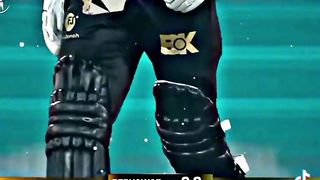 Cricket