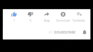 Funny video baby dog