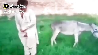 Animal v/s men
