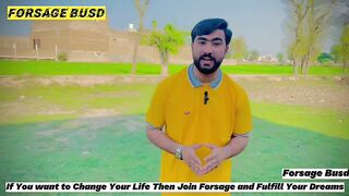 Forsage is the best platform