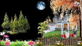 beautiful night