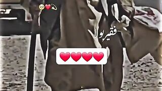 Faqeer kia kehta hy